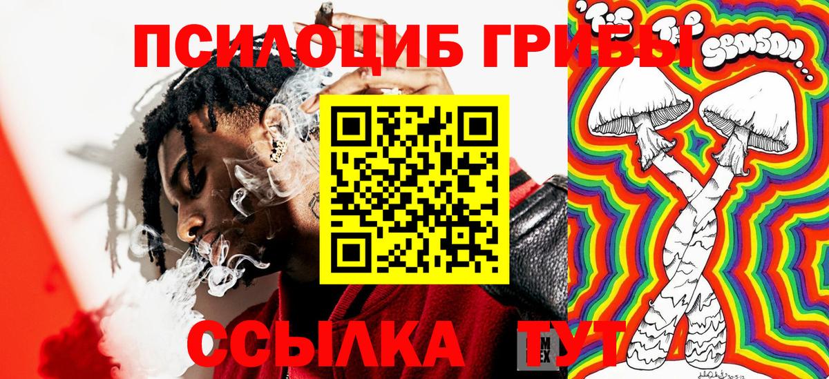 Галлюциногенные грибы прущие грибы  Псилоцибиновые грибы прущие грибы  Краснознаменск  Вход с VPN 
